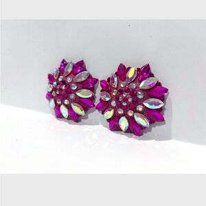 Elegant Pink and Silver Rhinestone Pasties